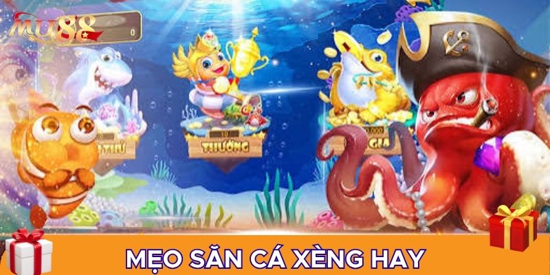 Mẹo săn cá xèng hay